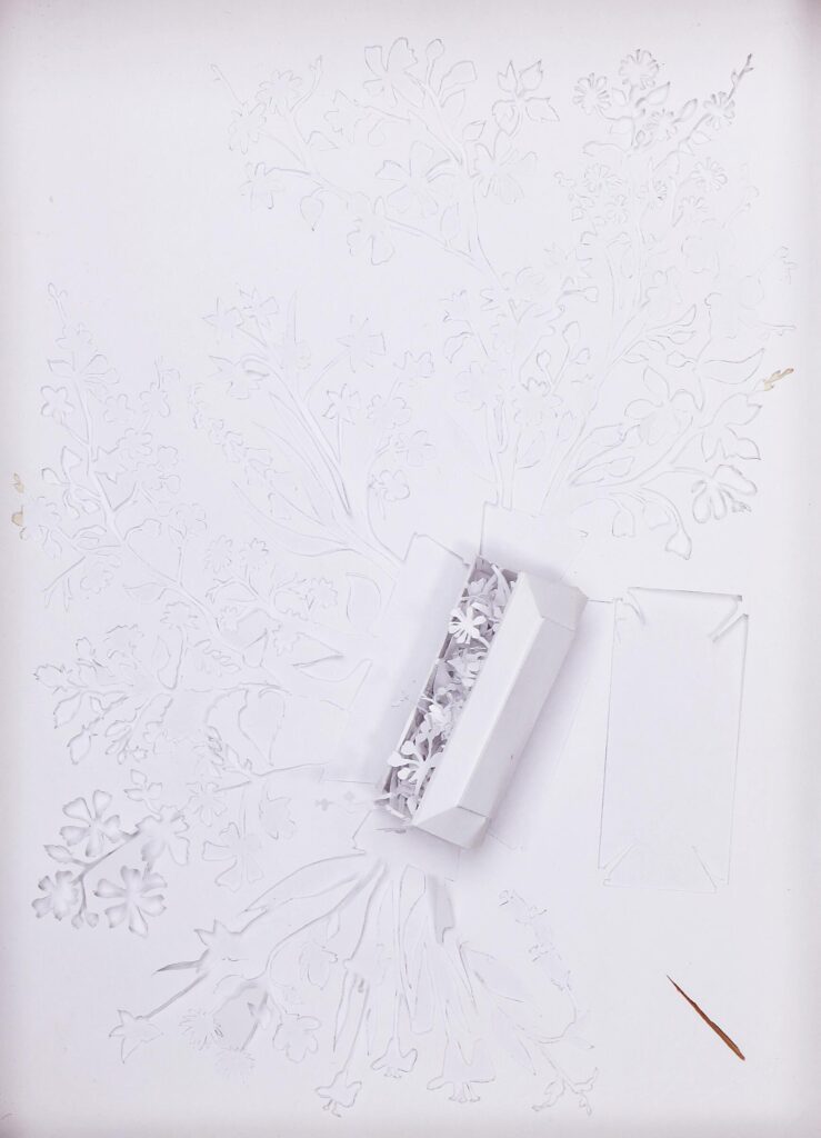 "Nobody but flowers". 2005.